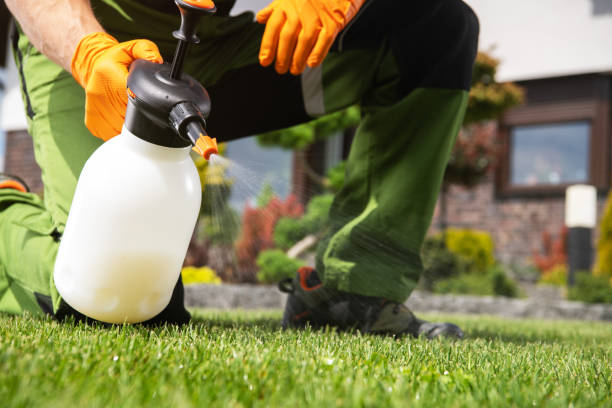 Best Pest Prevention Services  in Winthrop Harbor, IL