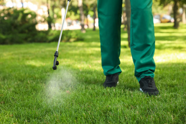 Best Best Pest Control Companies  in Winthrop Harbor, IL