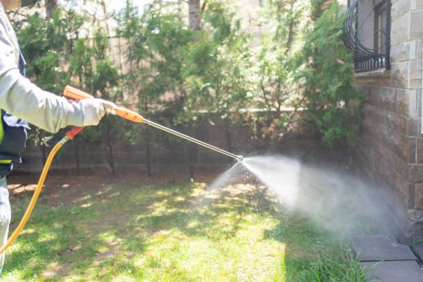 Best Wasp Removal Services  in Winthrop Harbor, IL