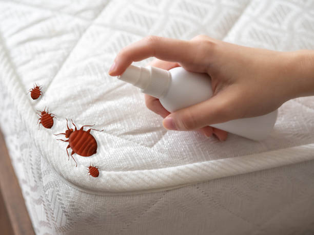 Best Best Pest Control Companies  in Winthrop Harbor, IL
