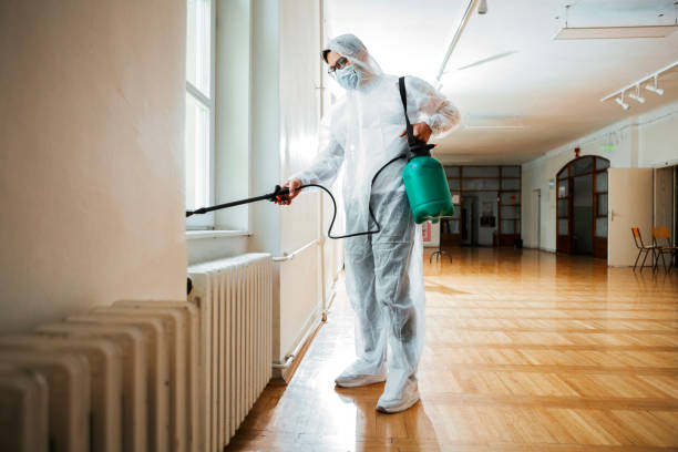 Best Pest Prevention Services  in Winthrop Harbor, IL