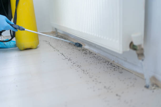 Best Residential Pest Control  in Winthrop Harbor, IL