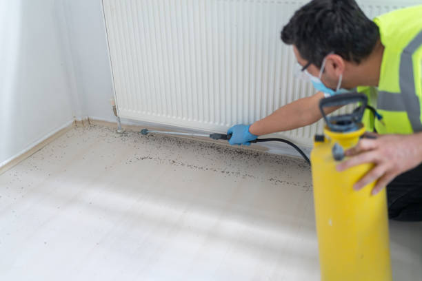 Reliable Winthrop Harbor, IL Pest Control Solutions